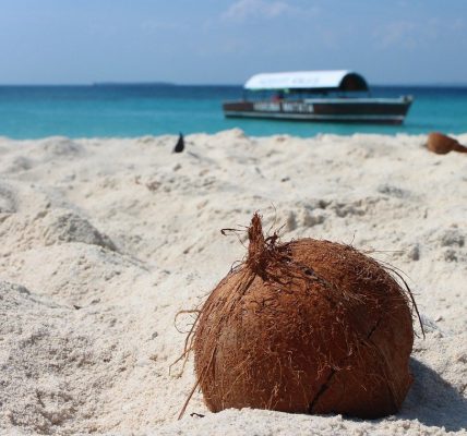 Tanzanie et Zanzibar : la destination idéale pour une lune de miel