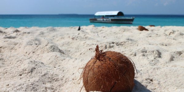 Tanzanie et Zanzibar : la destination idéale pour une lune de miel