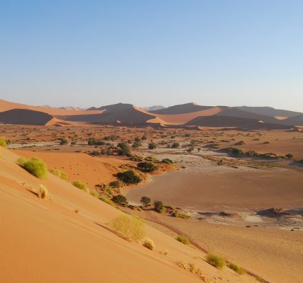 Partez à l'aventure en Namibie : un circuit touristique inoubliable