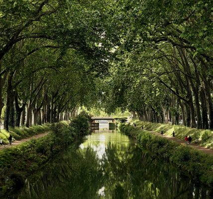 Idées d’activités à faire en famille près de Toulouse