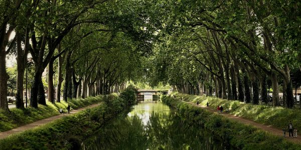 Idées d’activités à faire en famille près de Toulouse
